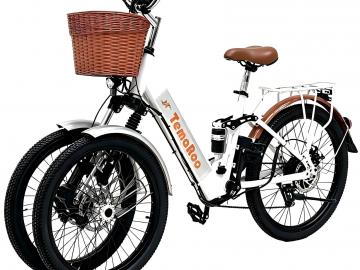 TEMAROO Readies Tilting Reverse-Trike E-Bike for OEM Production